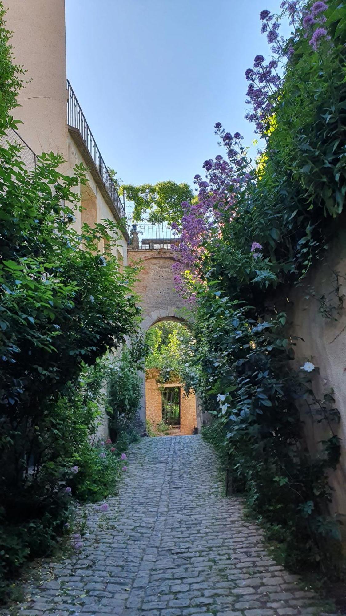 Etape Du Pont Pinard Villa Semur-en-Auxois Exterior photo